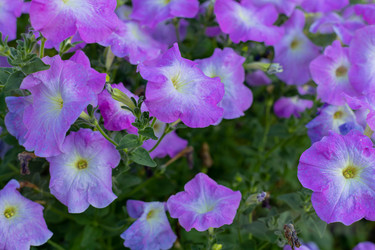 Similar image 21049717