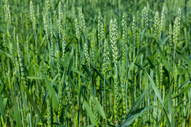 Similar image 21049326