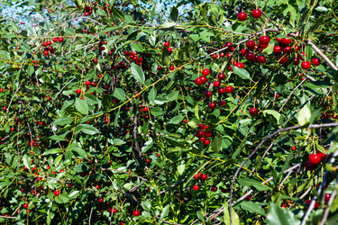 Similar image 21049329