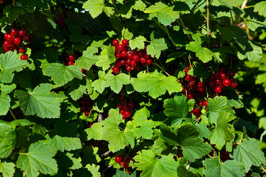 Similar image 21049331