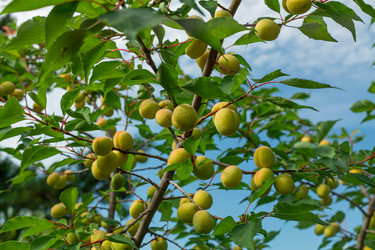 Similar image 21049335