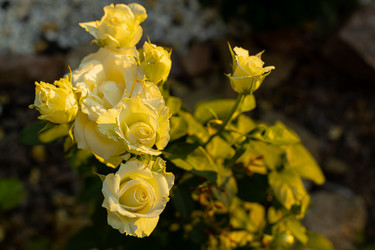 Similar image 21049336