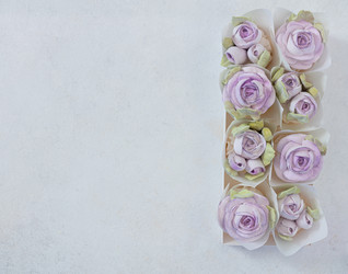 Similar image 21049347