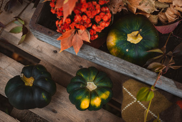 Similar image 21049564