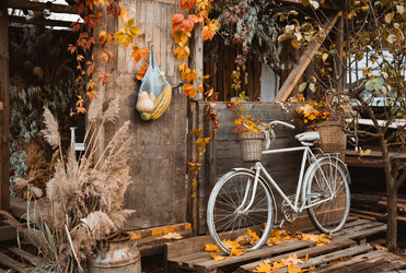 Similar image 21051445