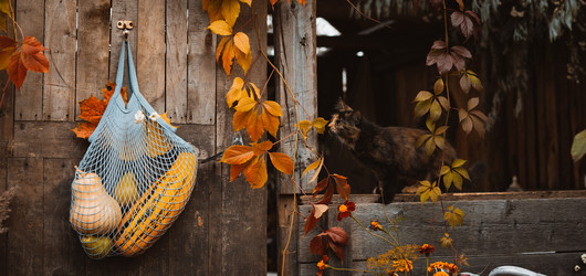 Similar image 21049568