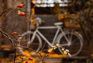 Similar image 21049572