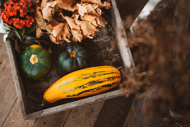 Similar image 21049575