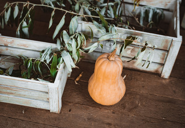 Similar image 21049583