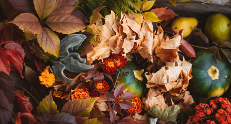 Similar image 21054768