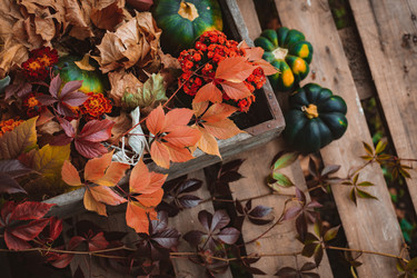 Similar image 21054769