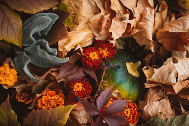 Similar image 21049585