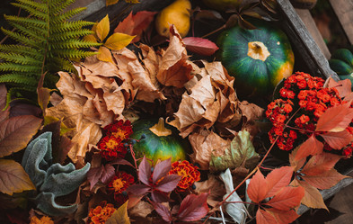 Similar image 21049587