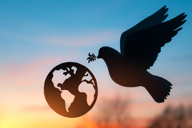 Similar image 21049595