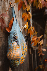 Similar image 21049619