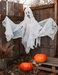 Similar image 21049503