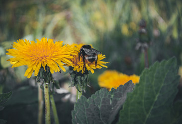 Similar image 21049048