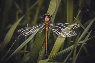 Similar image 21048311