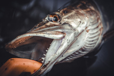 Similar image 21048313