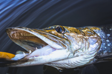 Similar image 21048315