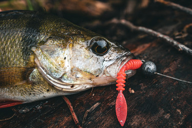 Similar image 21048317