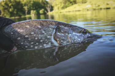 Similar image 21048318