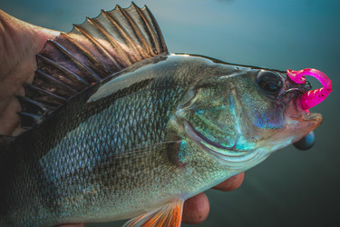 Similar image 21048321