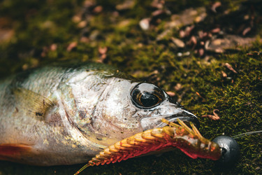 Similar image 21048322