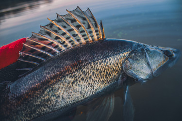 Similar image 21048323