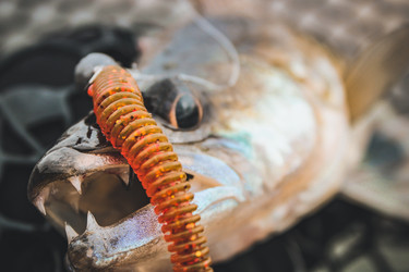 Similar image 21048324