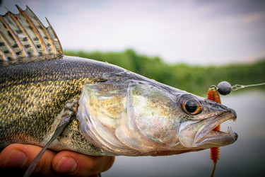 Similar image 21048325