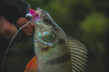 Similar image 21048326