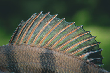 Similar image 21048327