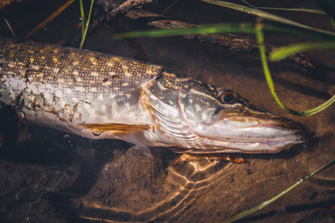 Similar image 21048328