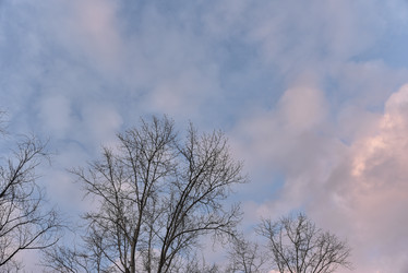 Similar image 21049037