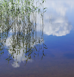 Similar image 21049055