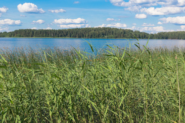 Similar image 21049057