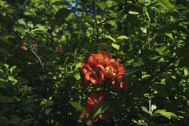 Similar image 21049059