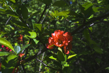 Similar image 21049060