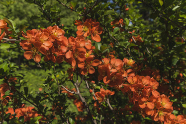 Similar image 21049061