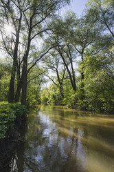 Similar image 21049062