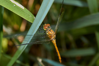 Similar image 21049039