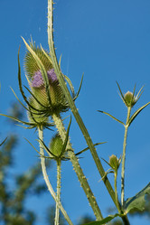 Similar image 21062545