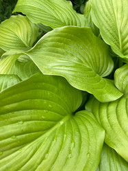 Similar image 21049070