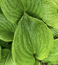 Similar image 21049072