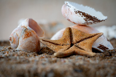 Similar image 21049042