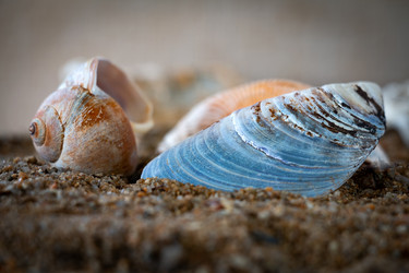 Similar image 21049043