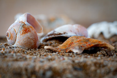 Similar image 21049044