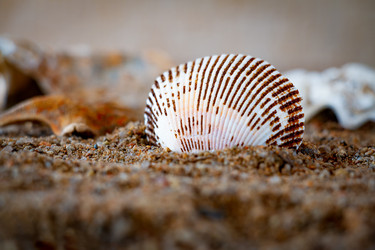 Similar image 21049045