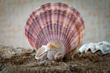 Similar image 21049046